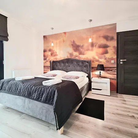 Classy Premium - - Wintera *