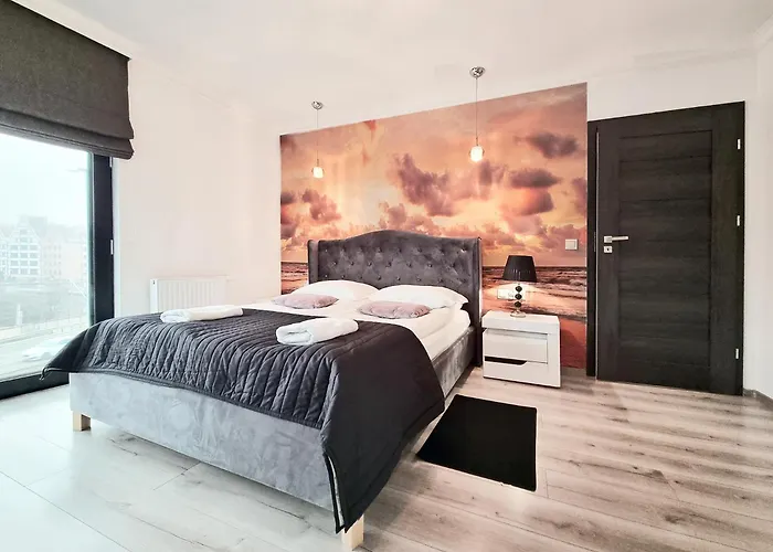 Classy Premium - - Wintera *